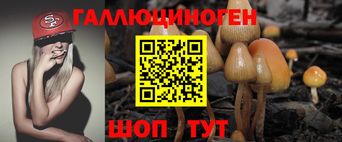 Галлюциногенные грибы Psilocybine cubensis Волхов